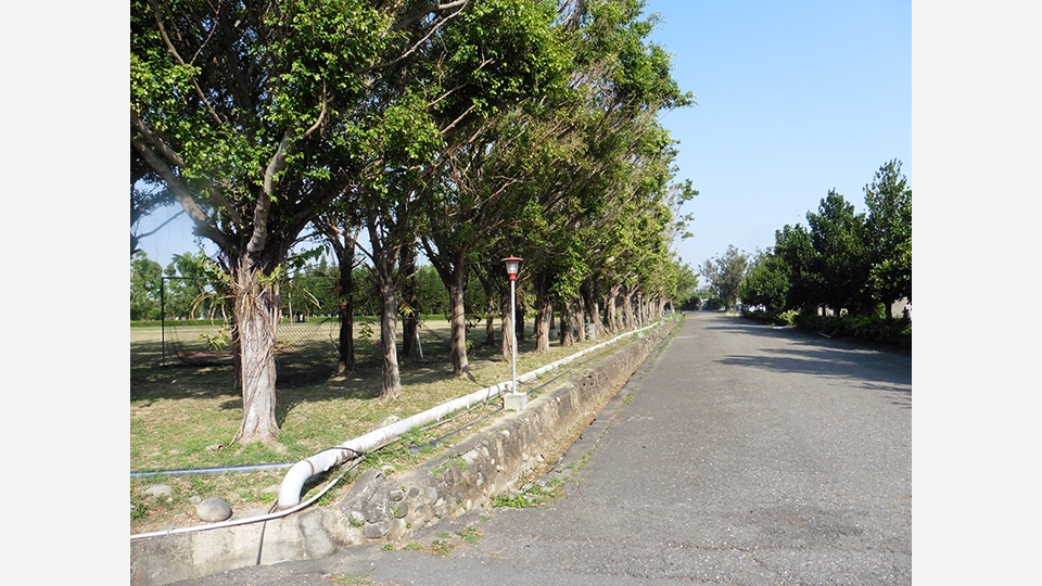 民國76年開始推動綠美化，造就了興達發電廠綠意環繞的廠區環境。